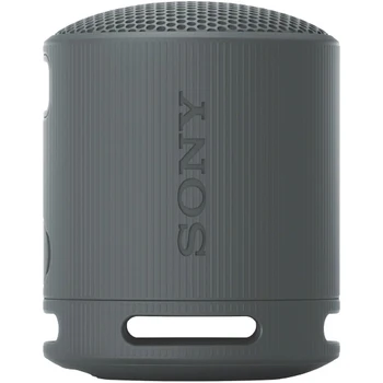 Sony SRS-XB100 Portable Speaker